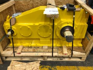 WhatsApp Image 2025-05-20 at 11.31.16 AM (2)