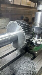 WhatsApp Image 2025-06-22 at 4.53.56 PM (2)